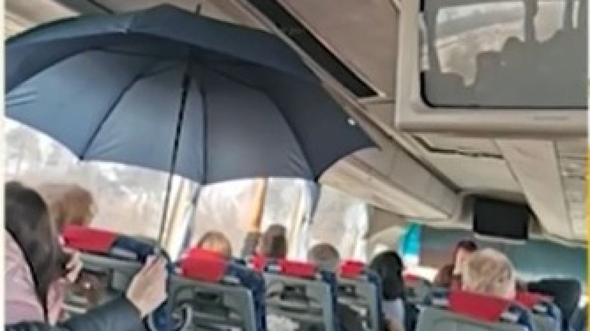 Пътници в автобус София-Силистра изживяха голям кошмар 