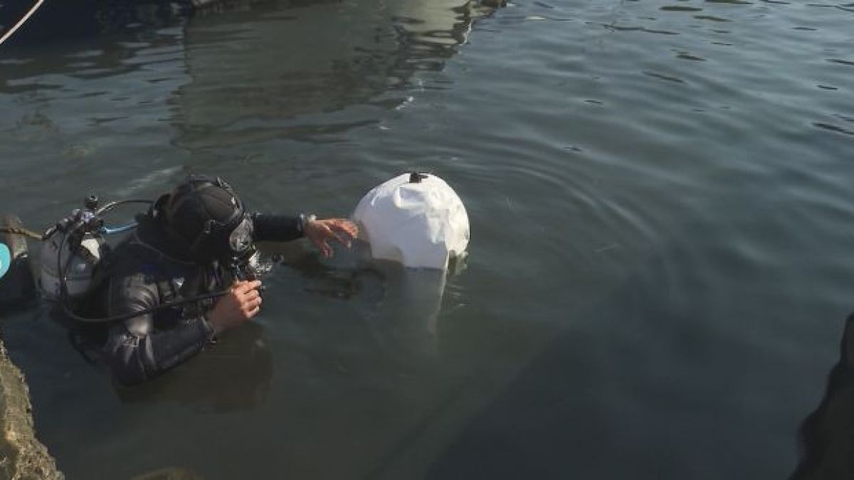 Водолаз почисти сам от автомобилни гуми рибарското пристанище в Созопол ВИДЕО