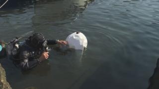 Водолаз почисти сам от автомобилни гуми рибарското пристанище в Созопол ВИДЕО