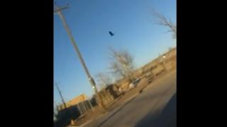 Грешка в матрицата: Птица застина неподвижно в небето ВИДЕО