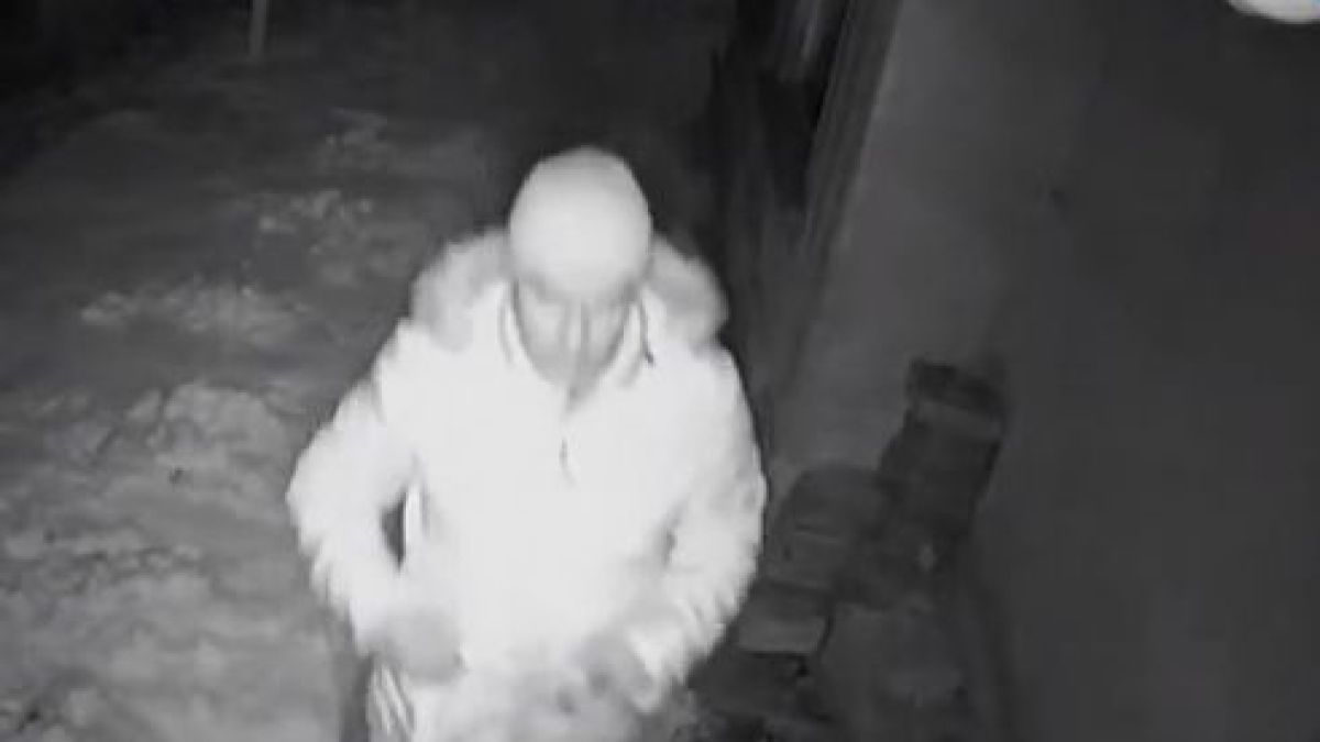 Аделина Радева с цветист коментар за сериен крадец в кв.„Бъкстон“ ВИДЕО