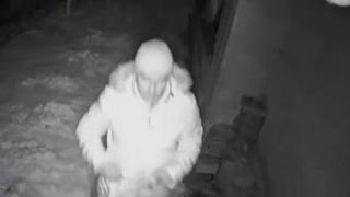 Аделина Радева с цветист коментар за сериен крадец в кв.„Бъкстон“ ВИДЕО