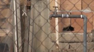 Нова измама плъзна в Благоевградско