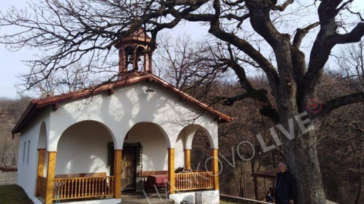 Чудотворно дърво в манастир край Хасково цери всички болести СНИМКИ 