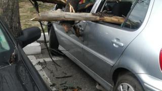 Meteo Balkans: Малък Сечко направи големи бели