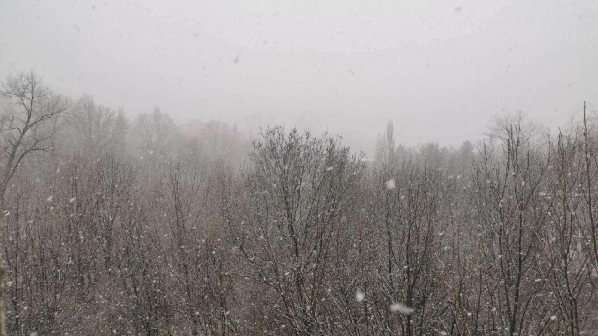 София се превърна в снежна приказка насред топлото време СНИМКИ