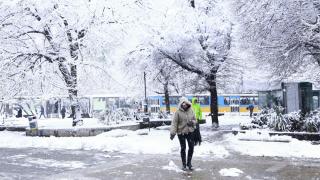 Бурите, ударили България, сътвориха голяма поразия