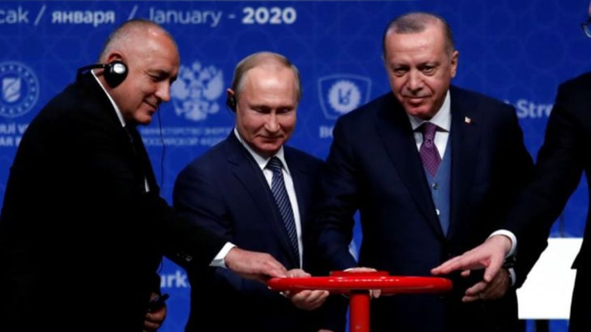 Проф. Дарина Григорова: Свободата и възраждането на България идват само и единствено след военната намеса на Русия