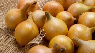 Защо слагам лук до леглото, преди да заспя?