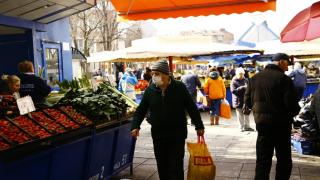 Земеделски производител шашна с анализ 