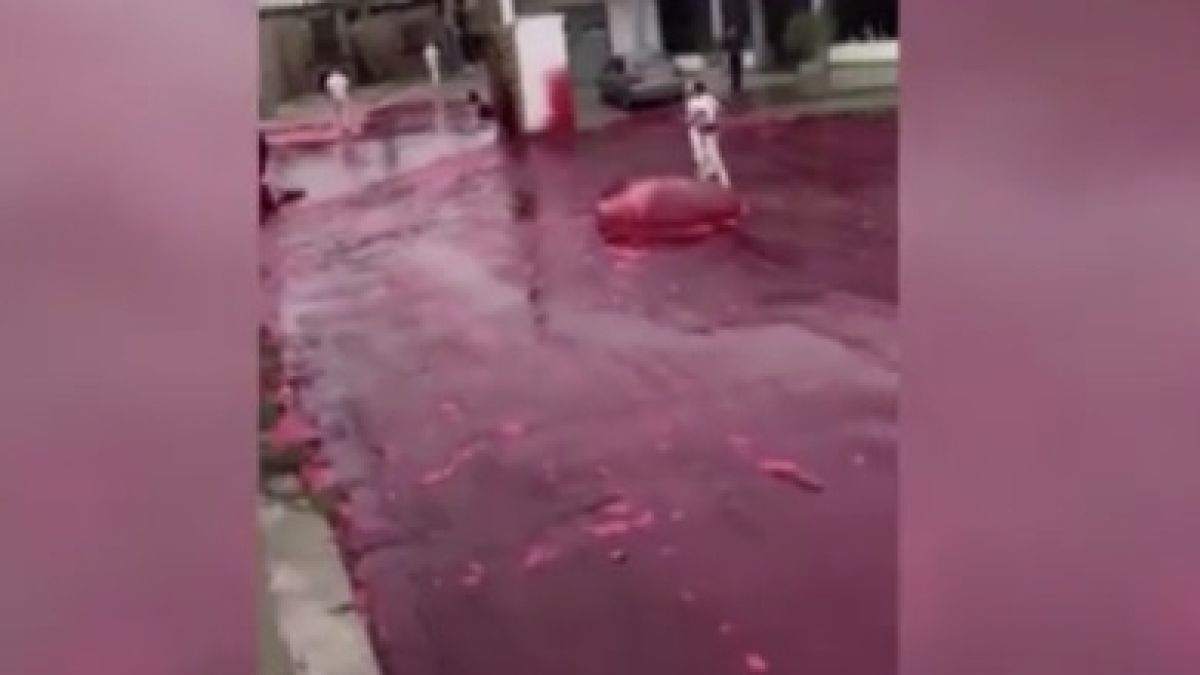 Река от кръв заля град в Аржентина ВИДЕО 18+