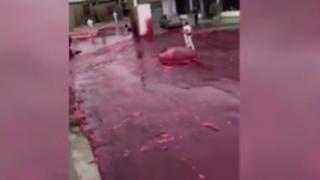 Река от кръв заля град в Аржентина ВИДЕО 18+