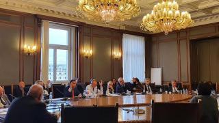 Доброволните отряди към МВР минаха през вътрешната комисия на парламента