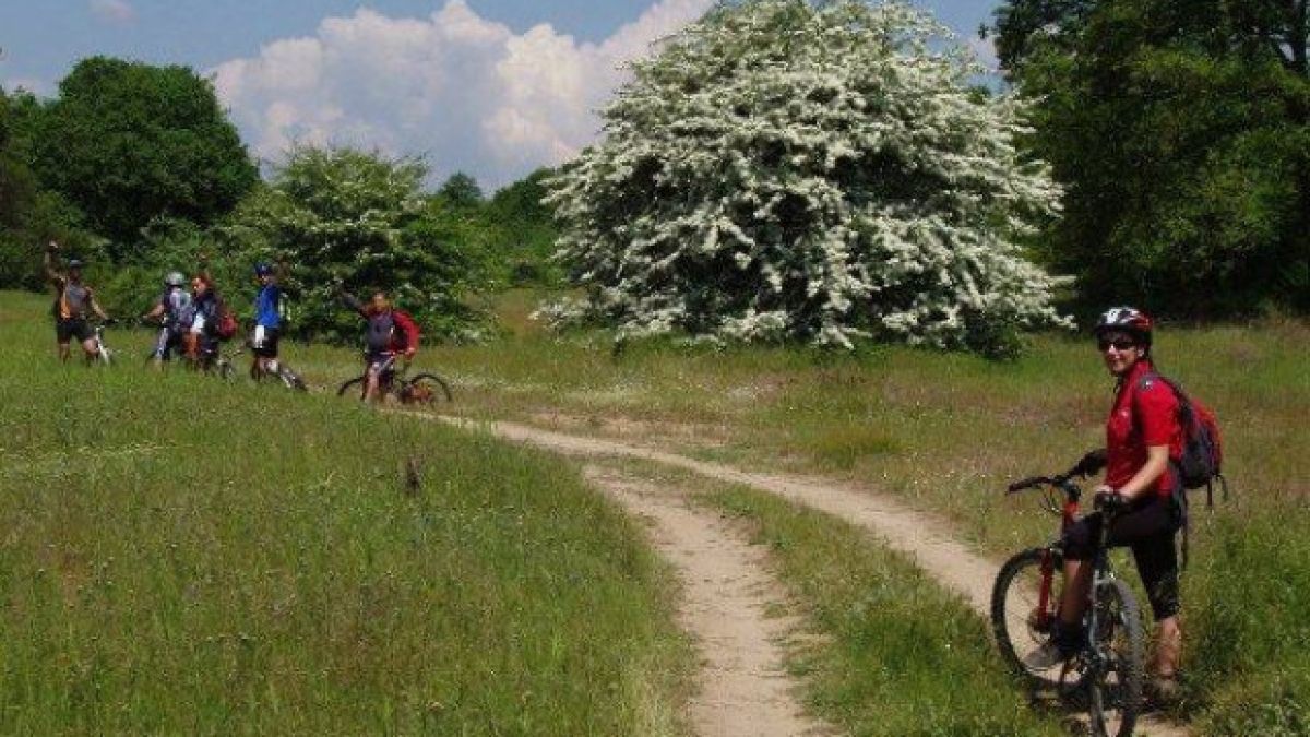 Евакуация заради COVID-19 в Пловдивско! 