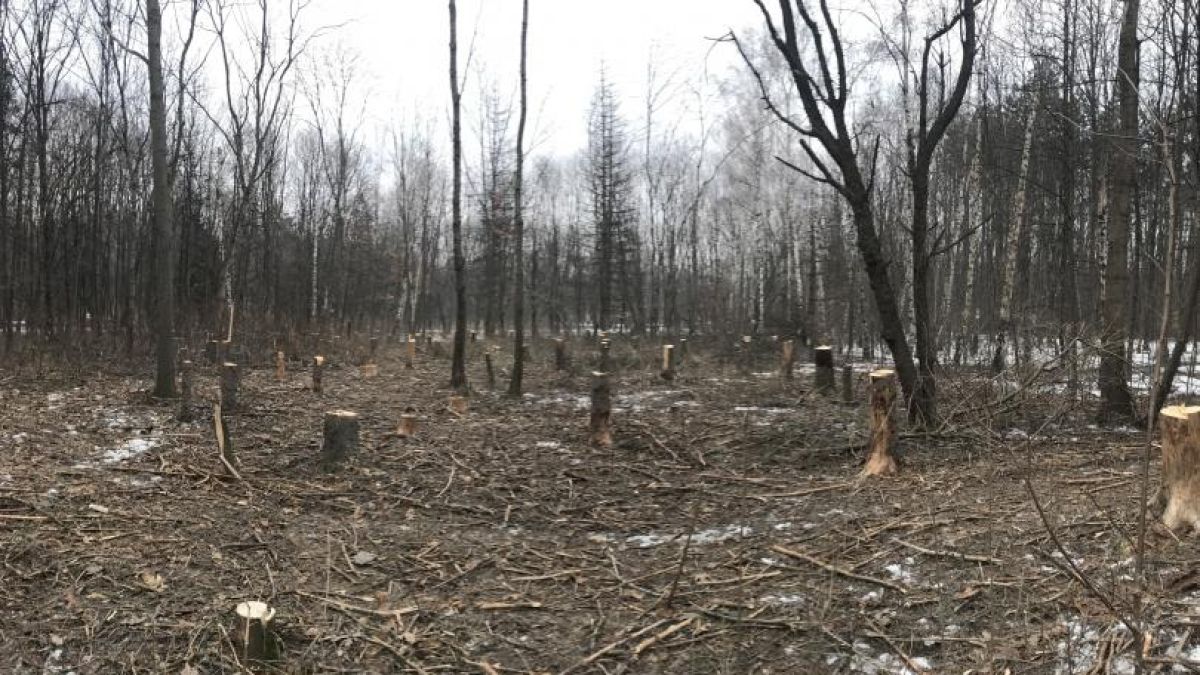 Зловеща гледка в опустелия заради карантината Западен парк ВИДЕО