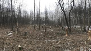Зловеща гледка в опустелия заради карантината Западен парк ВИДЕО