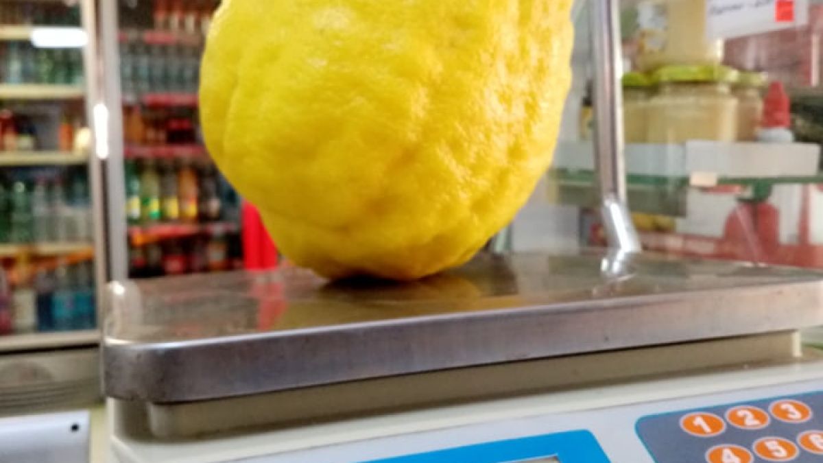 Не е за вярване какъв гигант отгледа Веселин в двора си СНИМКИ