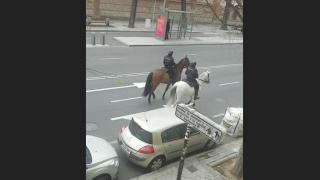 Луда гонка с кон и колоездач, нарушил карантината ВИДЕО
