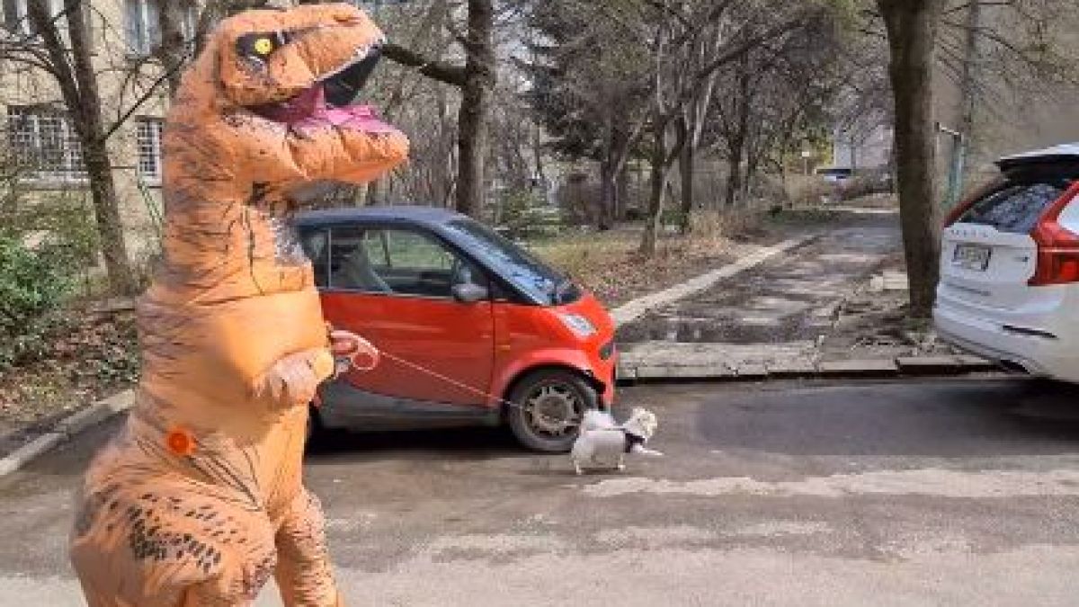 Столичанин с кученце шашардиса всички в Борисовата градина СНИМКИ