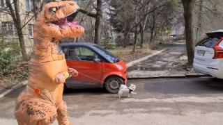 Столичанин с кученце шашардиса всички в Борисовата градина СНИМКИ