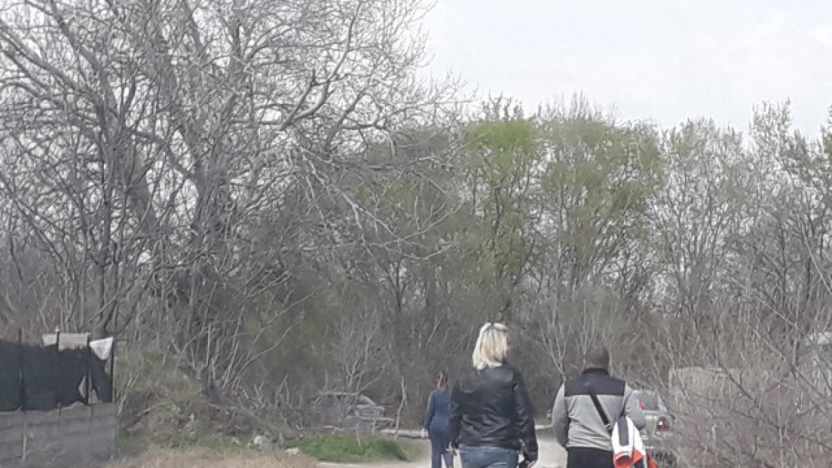 Хубавото време изигра лоша шега на куп пловдивчани 