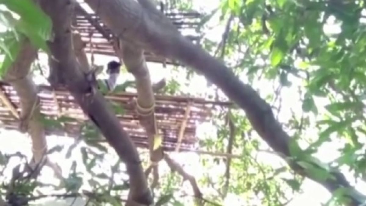 ВИДЕО: Такава изолация от COVID-19 все още не сте виждали 