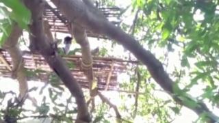 ВИДЕО: Такава изолация от COVID-19 все още не сте виждали 