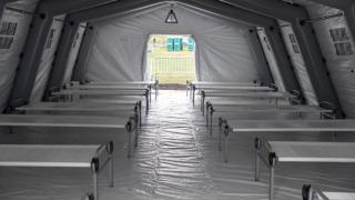NEJM Catalyst: Десет седмици за унищожаване на коронавируса