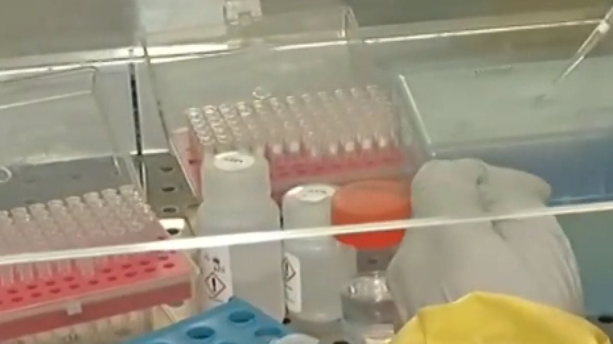 Заработи първата в Северна България PCR лаборатория за коронавирус 
