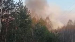 Лоши новини за бушуващия край Чернобил пожар, вдигнал радиацията  
