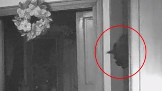 Ще се ужасите от това, което засне през нощта камера в дома на старица ВИДЕО