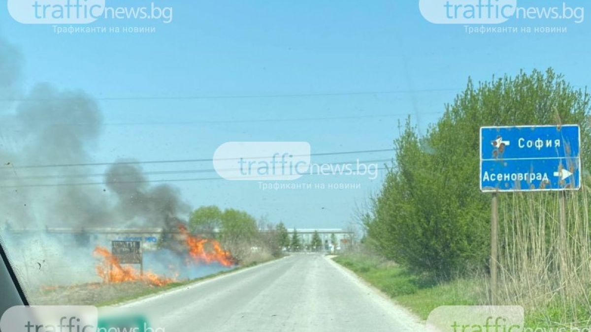 Пожар гори край Пловдив 