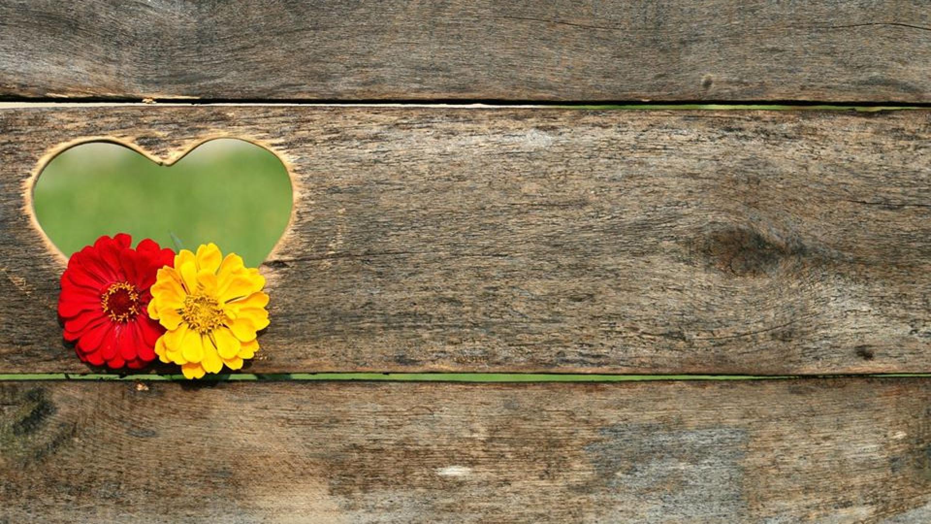 Момиченце дари пари на болница „Шейново”, лекарите го нарекоха герой