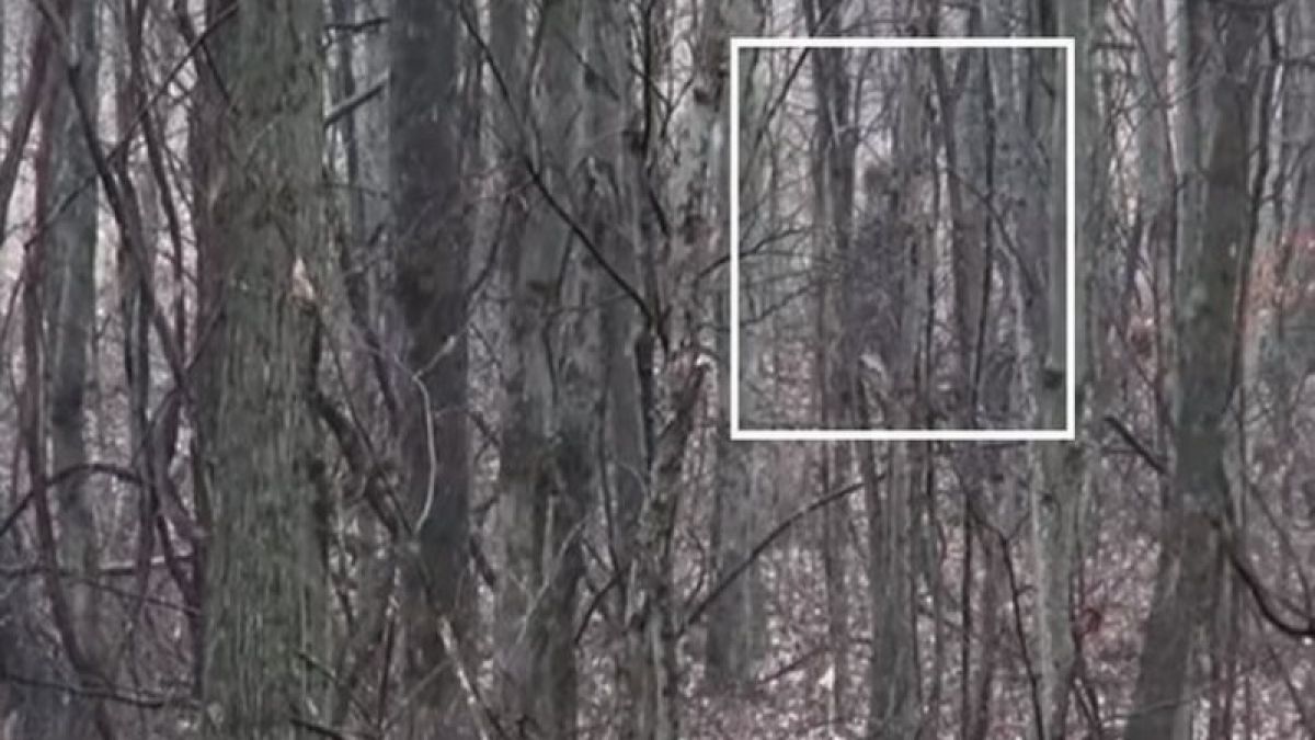 ВИДЕО запечата Снежен човек в американска гора