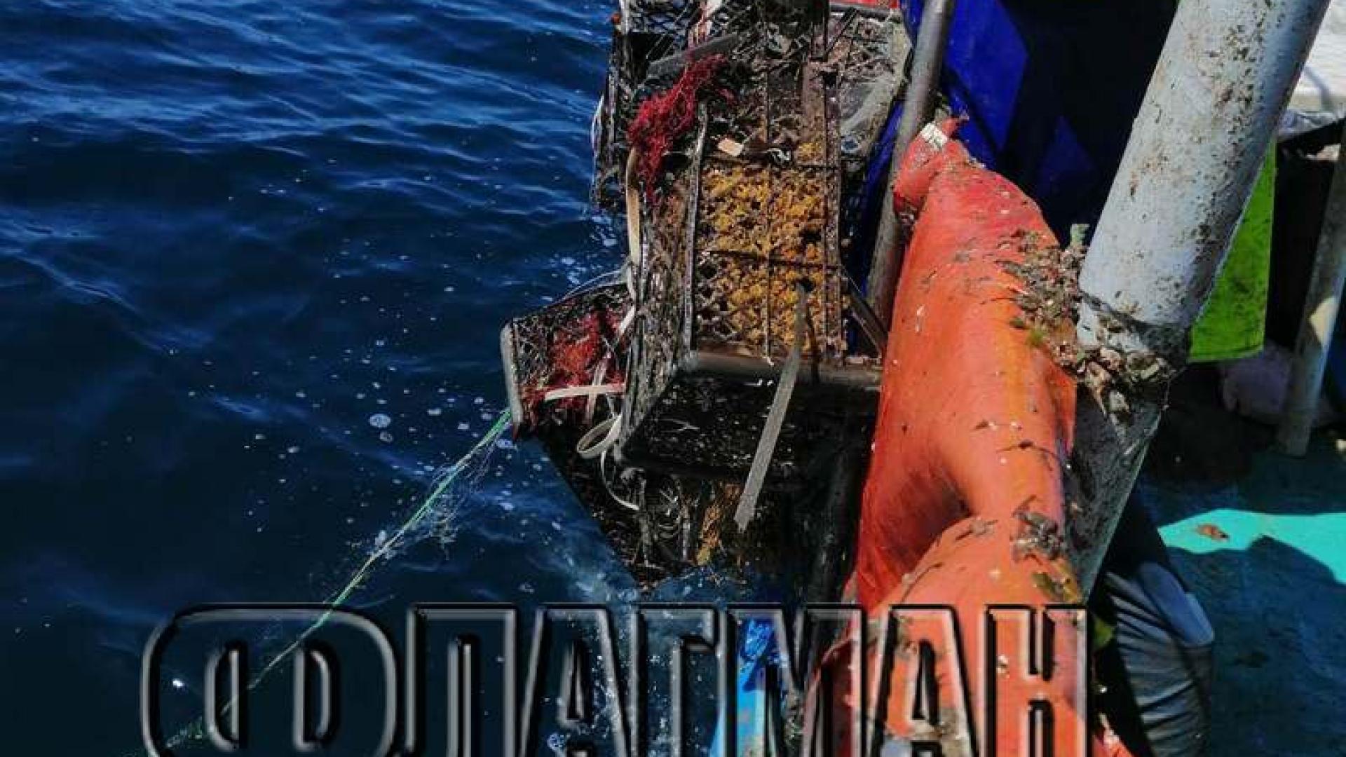 Рибари от Несебър извадиха ужасяващи твари от Черно море ВИДЕО 