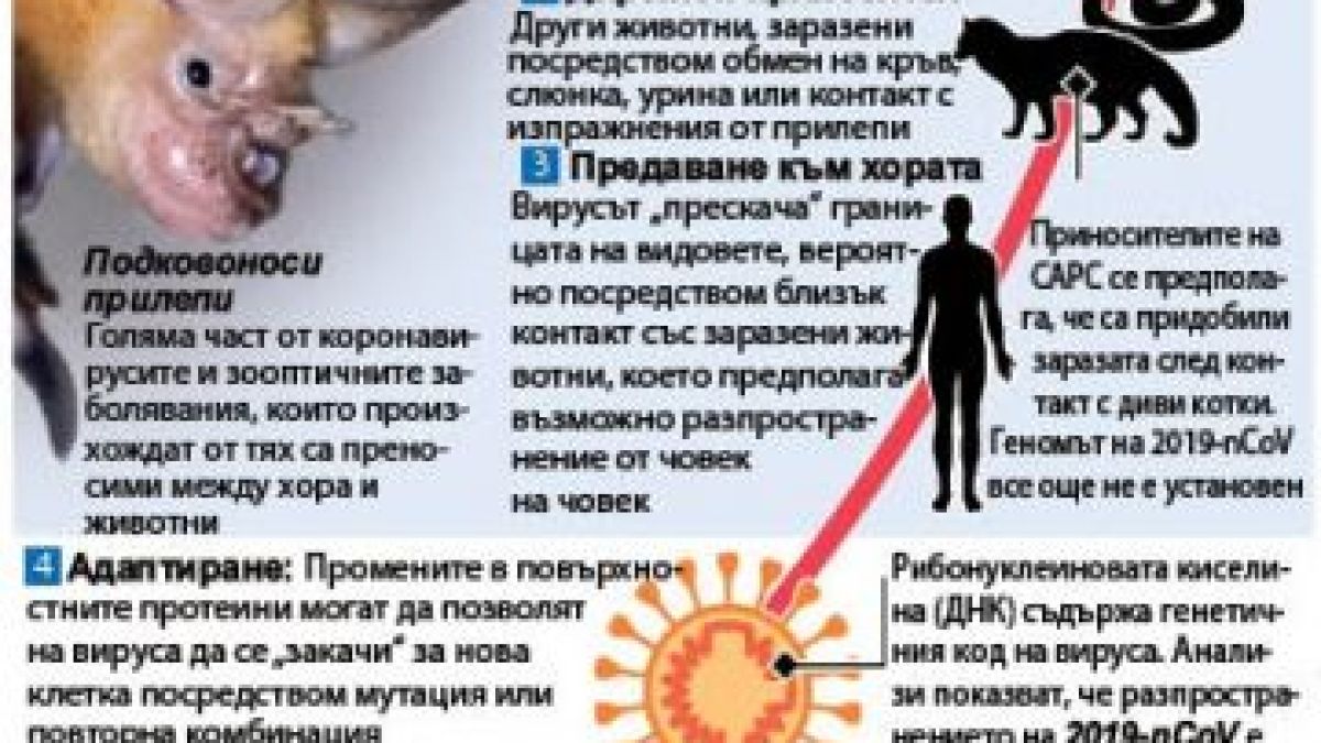 Конспирация: COVID-19 е биооръжие, изтървано от лаборатория, но...