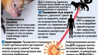 Конспирация: COVID-19 е биооръжие, изтървано от лаборатория, но...