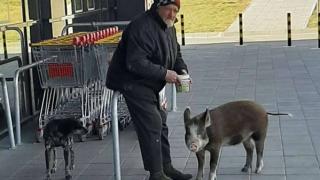 Пловдивчанин с нетрадиционни домашни любимци вбеси съгражданите си