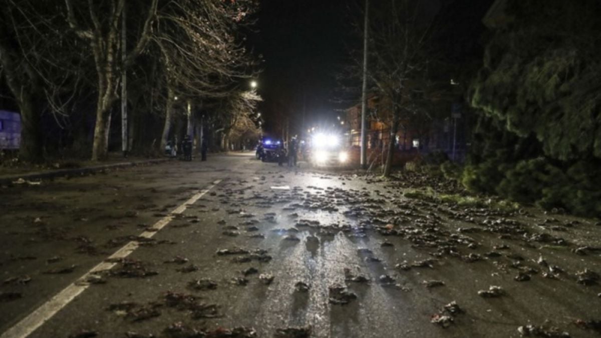 Какво се случва!? В цяла Европа от небето падат мъртви птици СНИМКИ