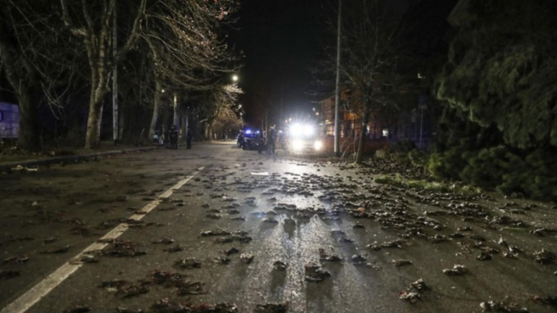 Какво се случва!? В цяла Европа от небето падат мъртви птици СНИМКИ