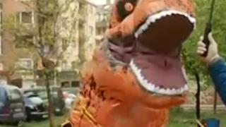 Страшно чудовище шашардиса столичен квартал ВИДЕО