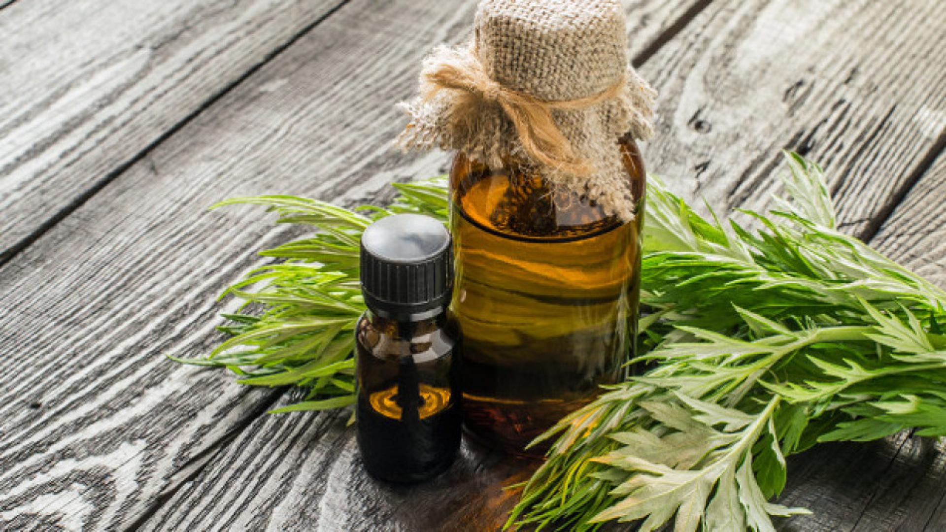 Емидемиоложка: Сиропът от пелин лекува коронавируса!