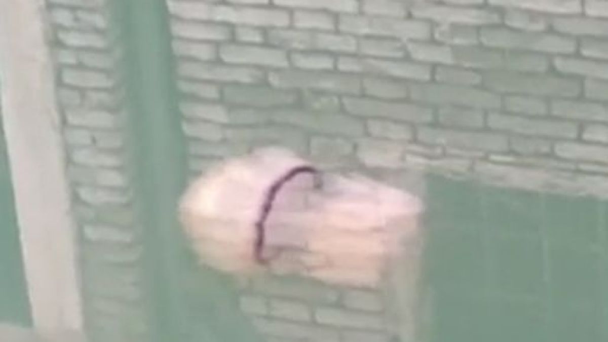 Шокираща гледка в каналите на Венеция, появи се... ВИДЕО