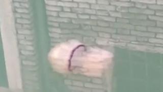Шокираща гледка в каналите на Венеция, появи се... ВИДЕО