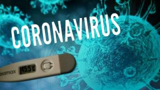 България и Албания с най-малко жертви на COVID-19 в Европа - чудо или дисциплина