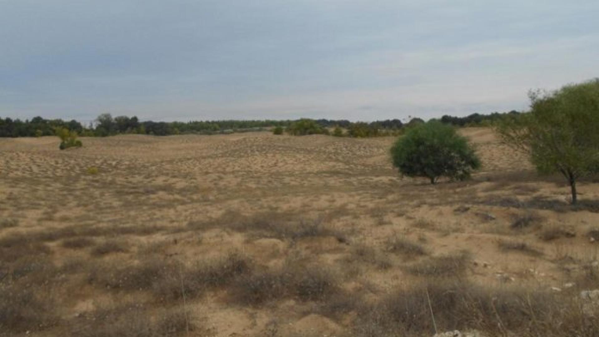 Единствената гръцка пустиня стана частна ВИДЕО 