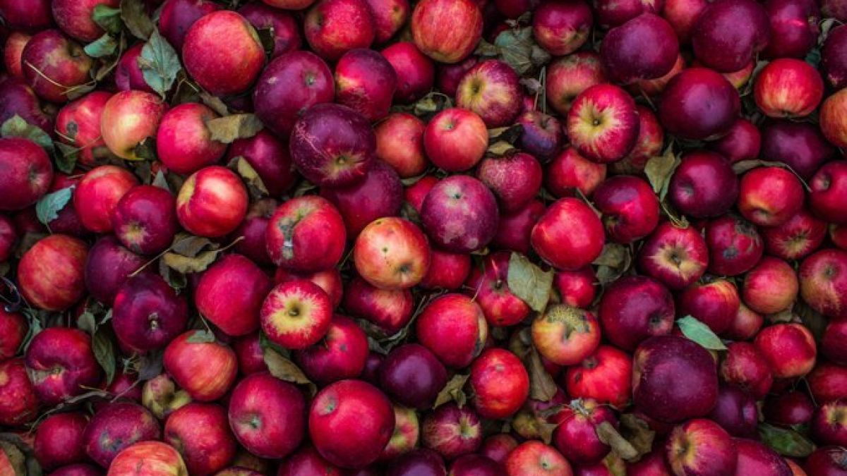 7 продукта, които силно подобряват храносмилането 