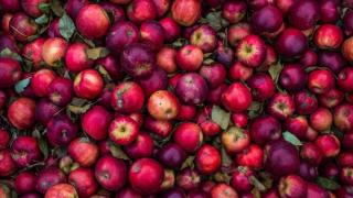 7 продукта, които силно подобряват храносмилането 