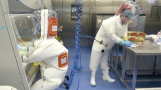 От най-секретната лаборатория в Ухан извънредно проговориха за COVID-19 и...