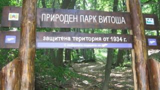 Ура! Отварят "Витоша" за разходки